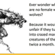 Illustration for article titled Fun with Etymology - Feminist Werewolves